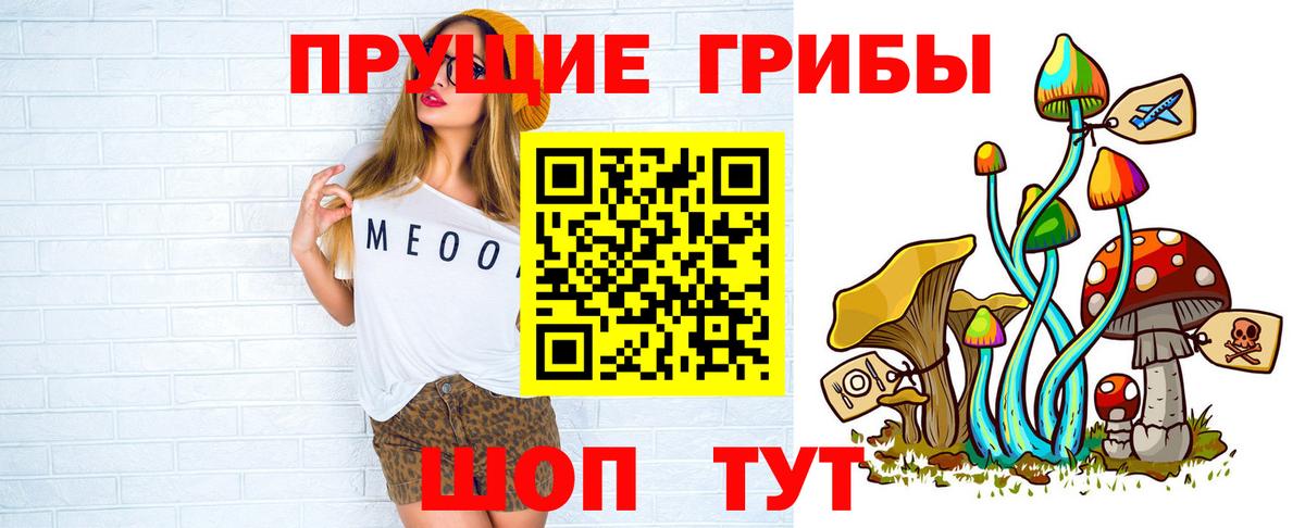 Псилоцибиновые грибы Psilocybine cubensis  Вход с VPN  Кинель 